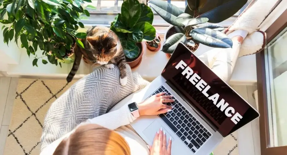 Freelancing course fees in Pakistan for online earning skills